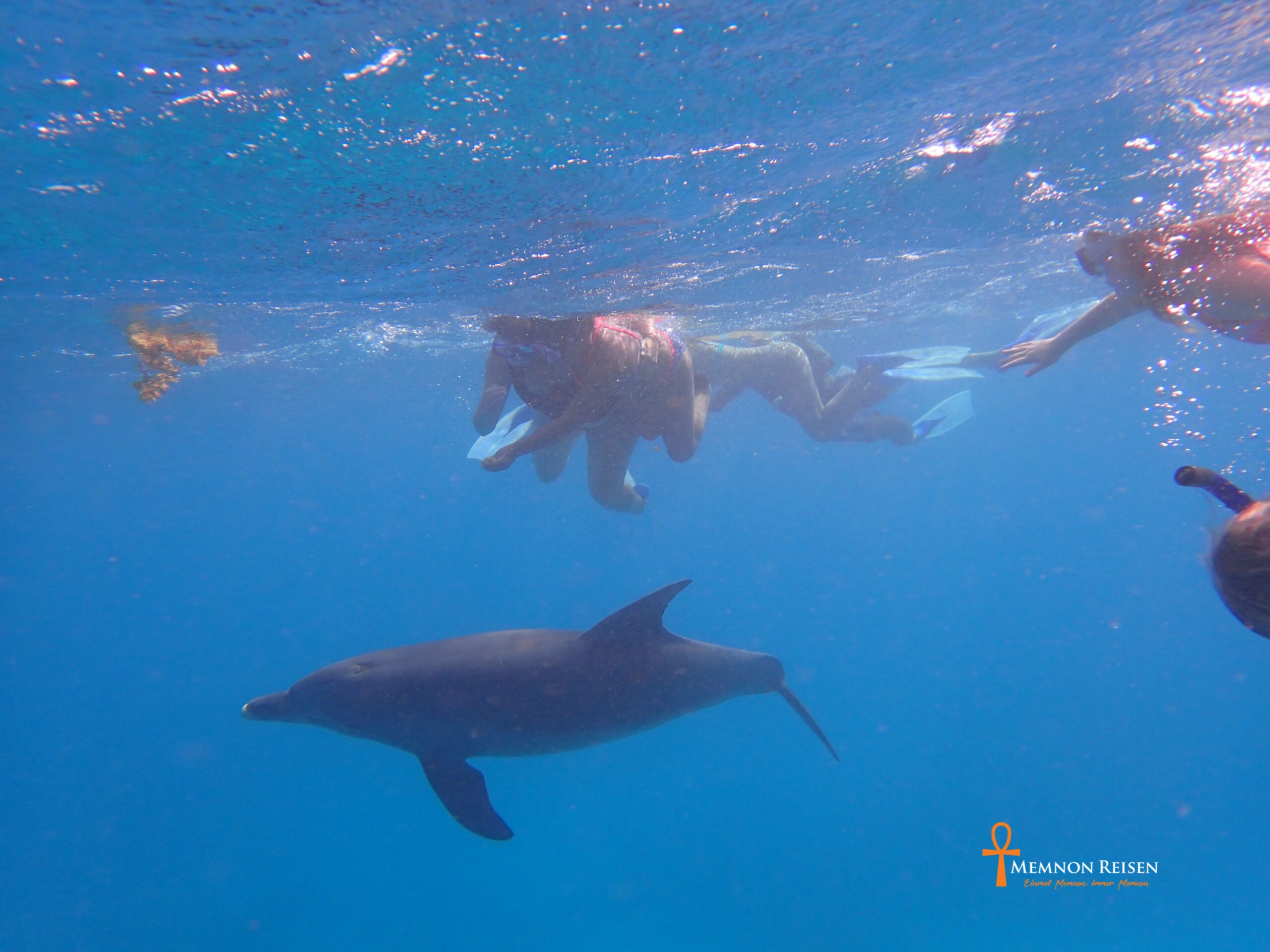 Tanz der Delfine in Hurghada 2 Tage mit Übernachtung
