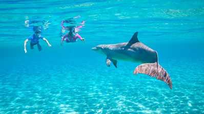 schnorchel marsa alam