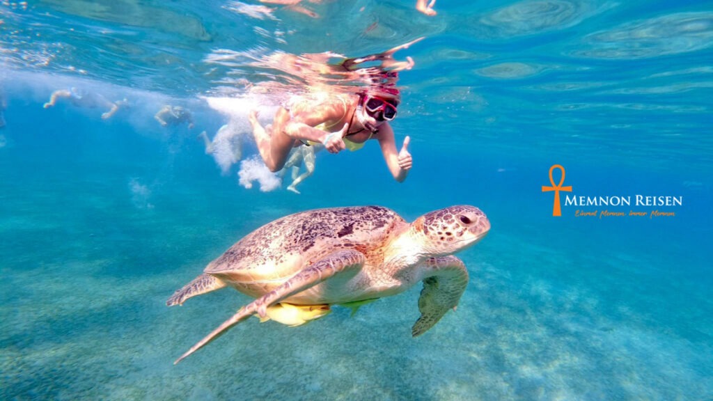 Excursión a Abu Dabab