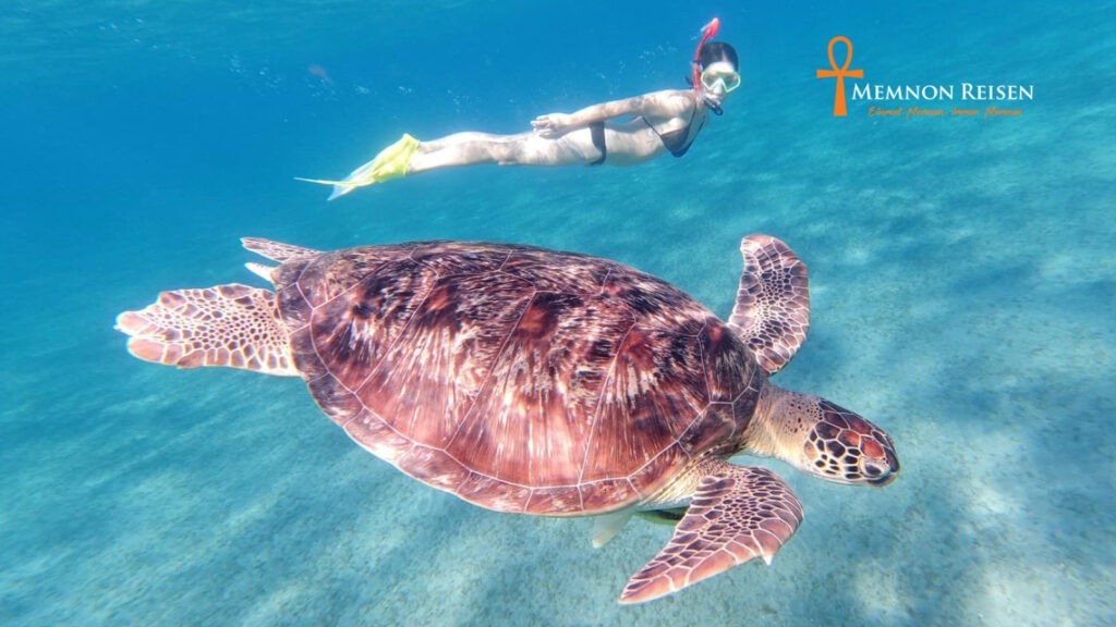 Excursión a Abu Dabab