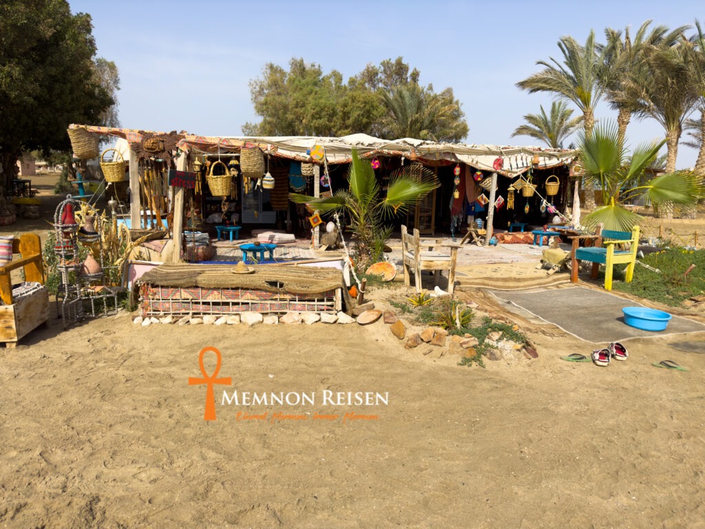 Excursión a Abu Dabab