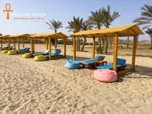 Excursión a Abu Dabab