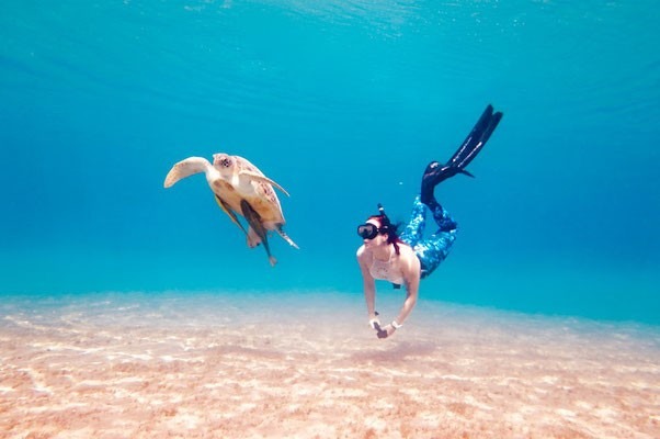Excursión de snorkel desde Marsa Alam a Marsa Mubarak