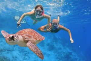 Tortugas de snorkel en Hurghada