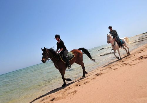 Equitación en Hurghada