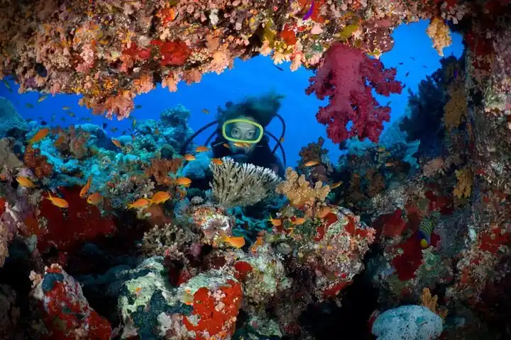 Bautismo de Buceo en Hurghada – Tu Primera Inmersión en el Mar Rojo